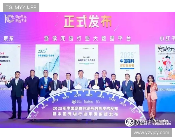 淬炼八年：中国各梯队外战的财富密码(1)